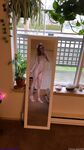 Fiona sprouts Onlyfans Premium Leaks